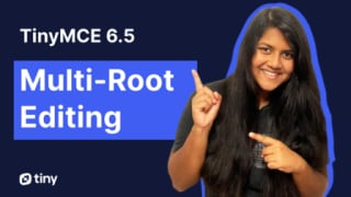 Introducing Multi-Root Editing in TinyMCE 6.5!