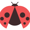 Ladybug Podcast