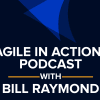 Agile in Action with Bill Raymond