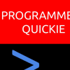 Programmers Quickie